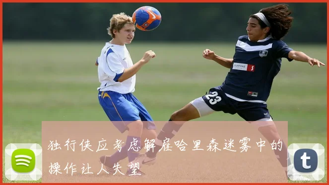 独行侠应考虑解雇哈里森迷雾中的操作让人失望