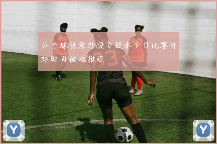 公牛球场意外现冷凝水今日比赛开球时间被迫推迟