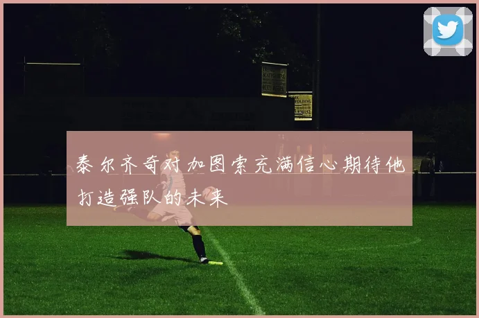 泰尔齐奇对加图索充满信心期待他打造强队的未来