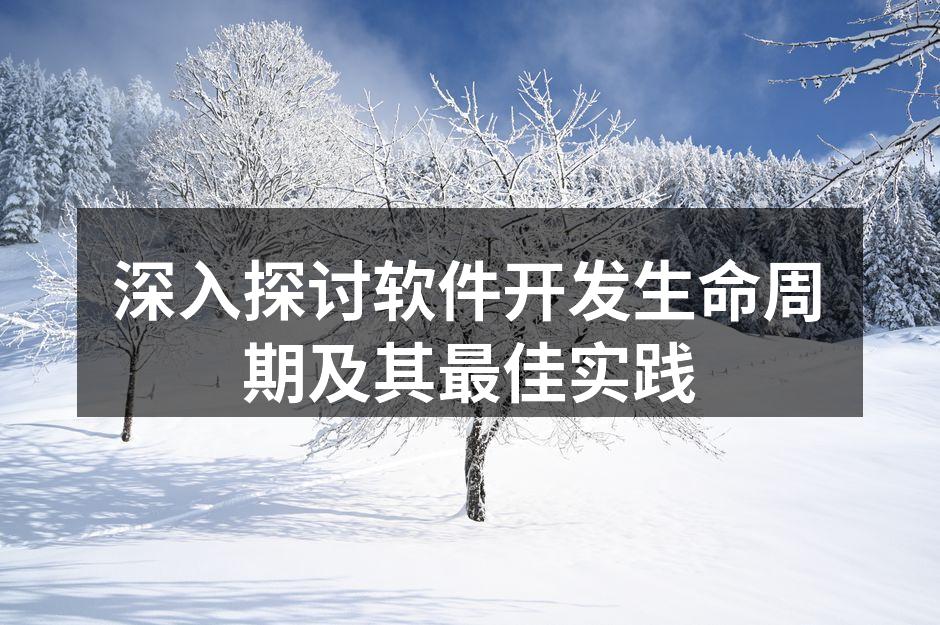 深入探讨软件开发生命周期及其最佳实践
